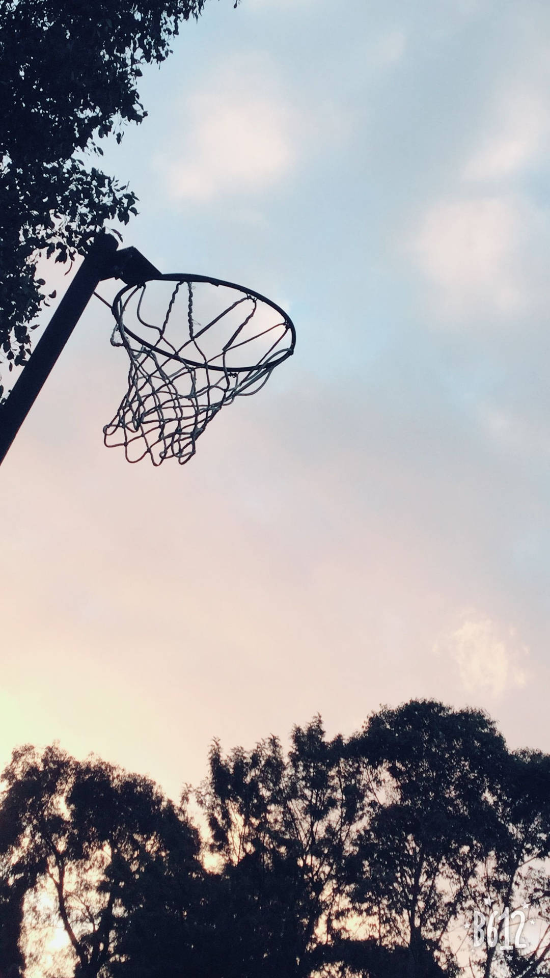 Netball Papel de Parede