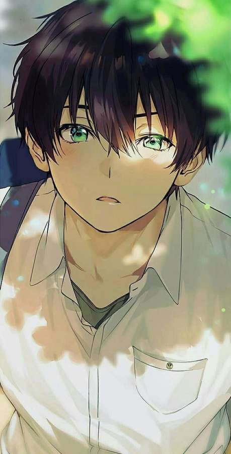 Anime-Junge mit grünen Augen und dunklem Haar unter Blättern und Sonnenlicht. — Netter Anime Pfp Wallpaper