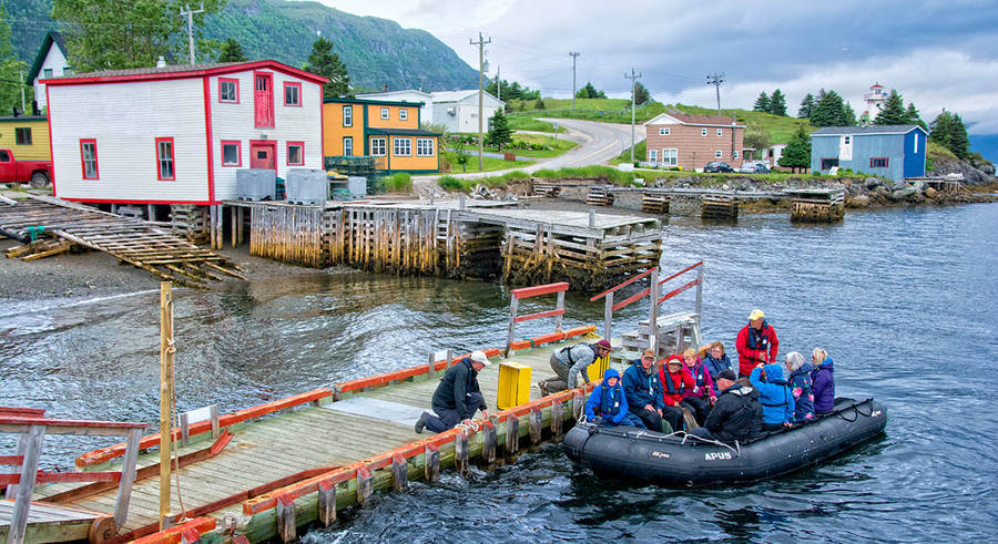 Newfoundland Taustakuva