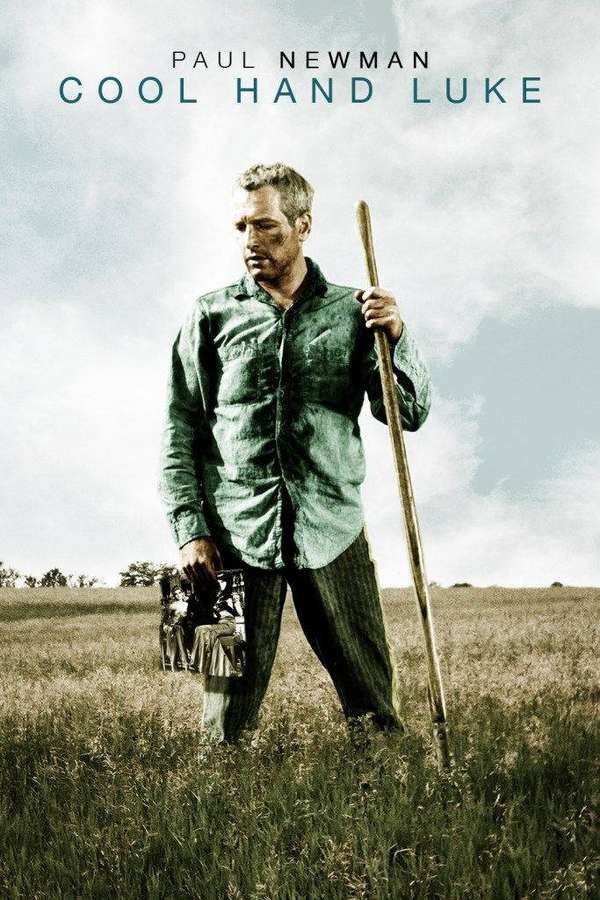 Paul Newman in a field holding a stick and camera under cloudy sky. — Newman Background