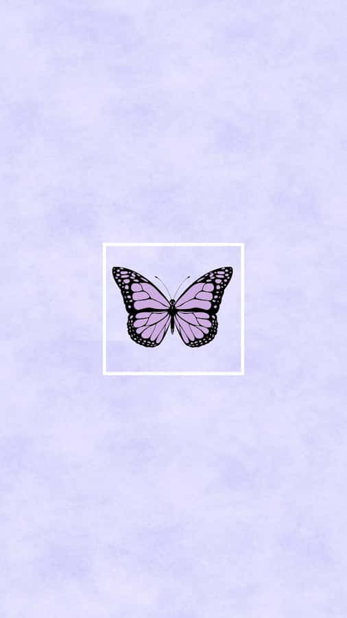 Chia sẻ hơn 68 về hình nền butterfly mới nhất - cdgdbentre.edu.vn