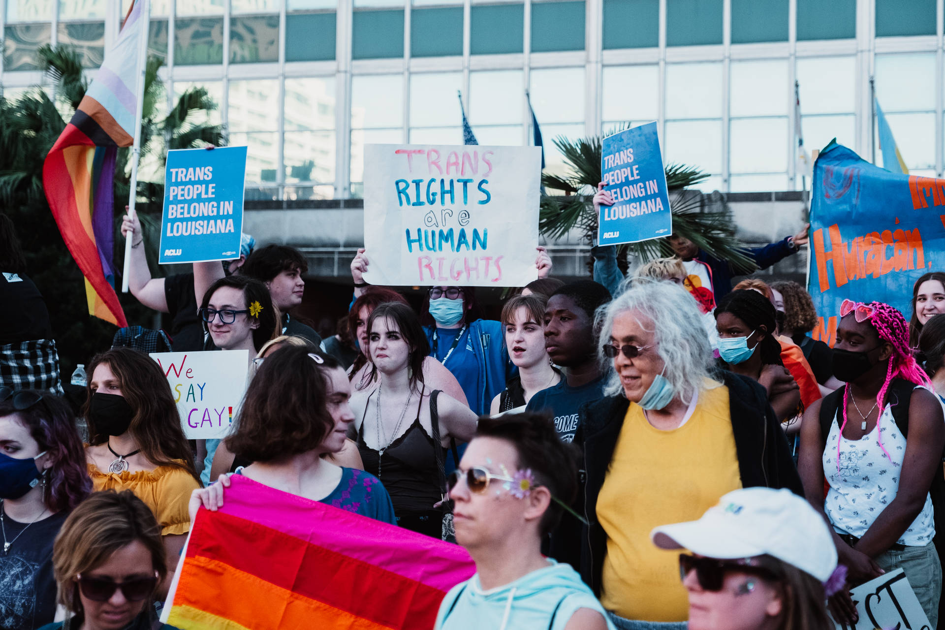 Demonstranter håller skyltar och regnbågsflaggor som kräver transrättigheter i Louisiana. — Icke binära bilder Bakgrundsbilder