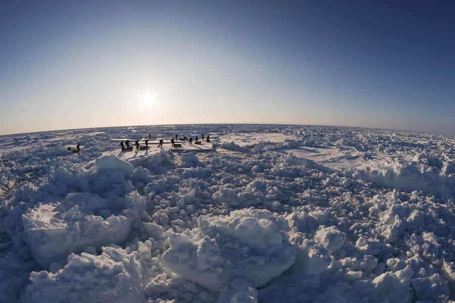 Nordpolen Bilder