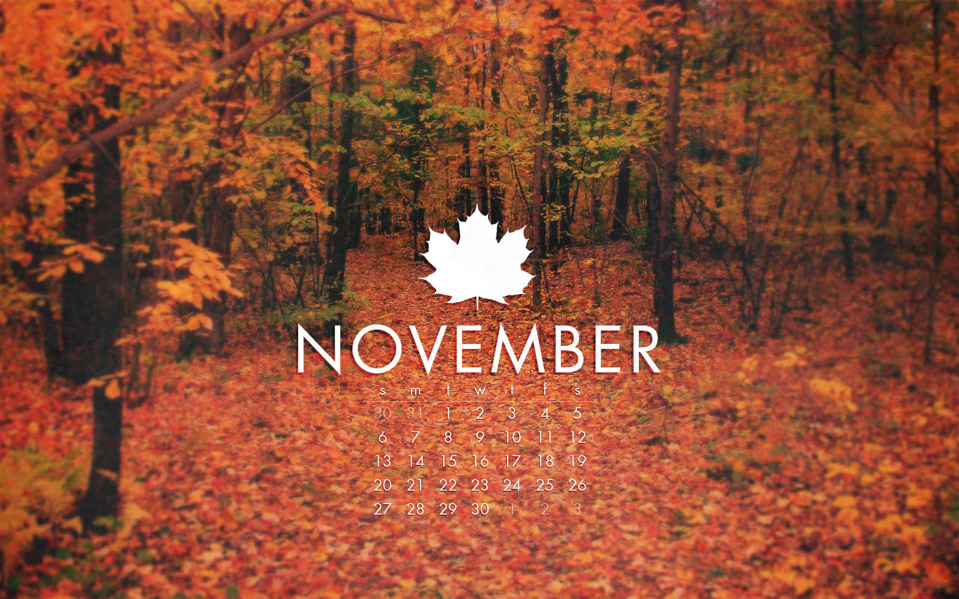 November Background Wallpaper