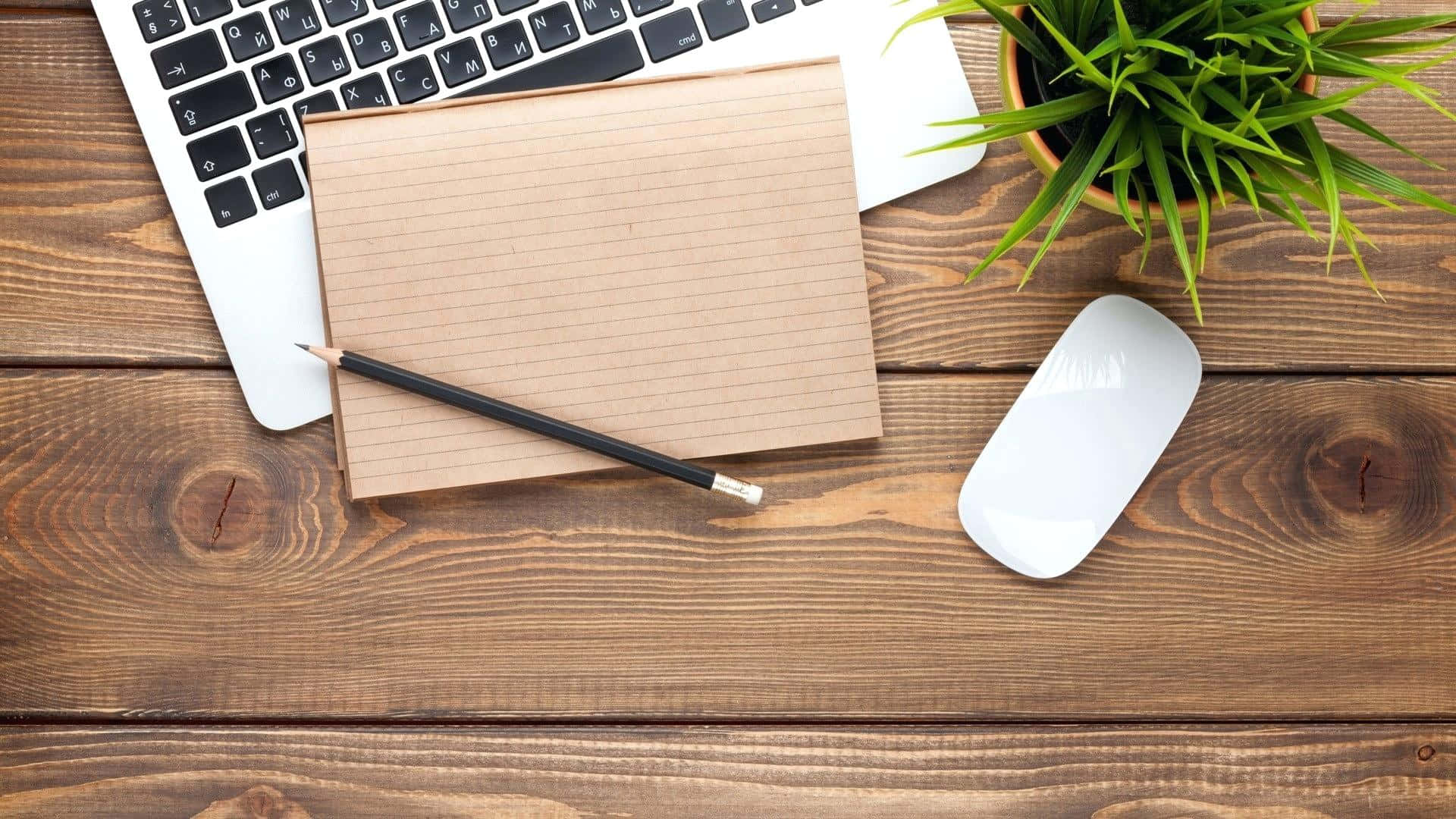 Wooden desk with laptop notebook pencil mouse and green plant — Office Desk Wallpaper