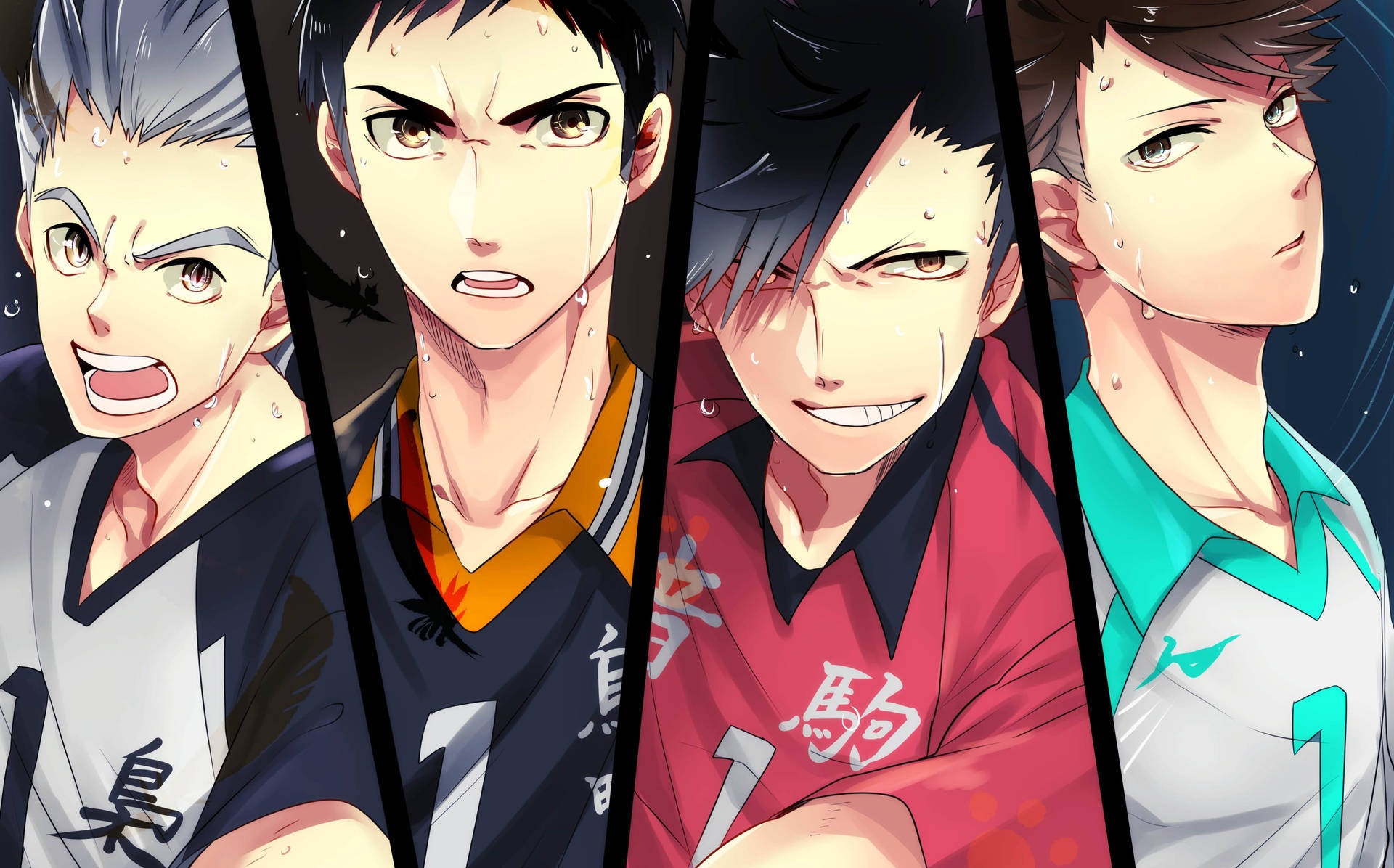 Oikawa Pictures Wallpaper