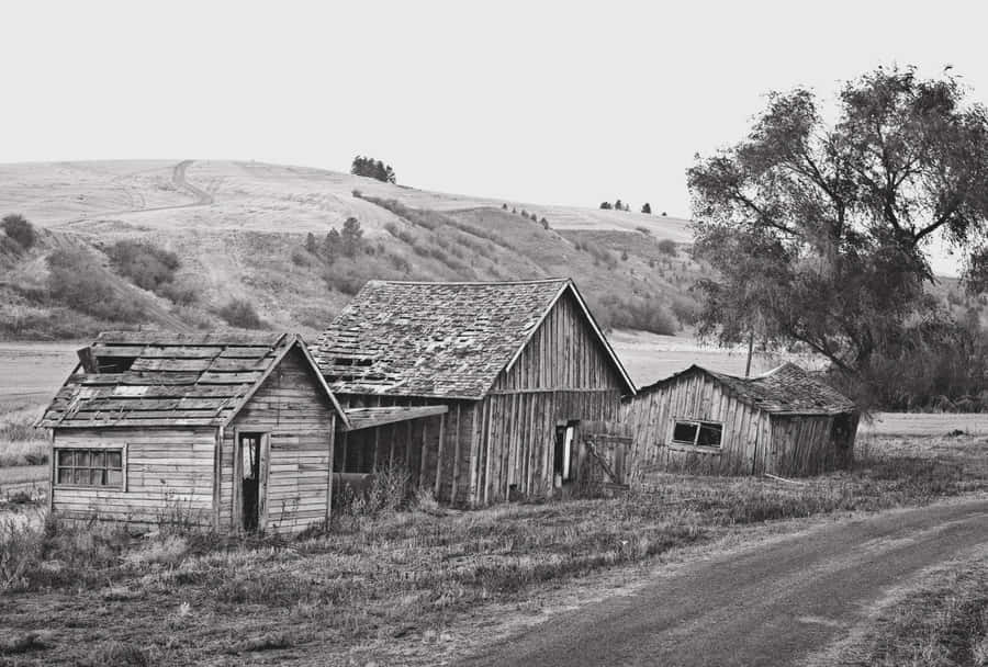 Old Farm Bilder