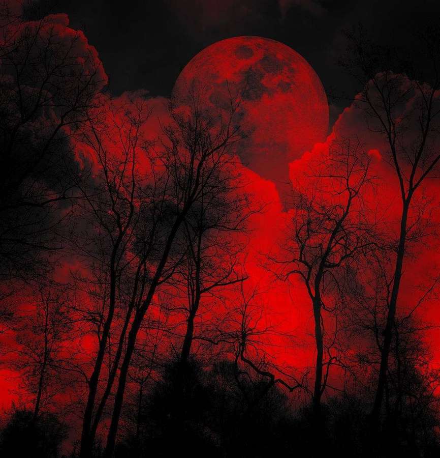 Silhouetted trees under a glowing red moon in a dark forest sky. — Ominous Wallpaper