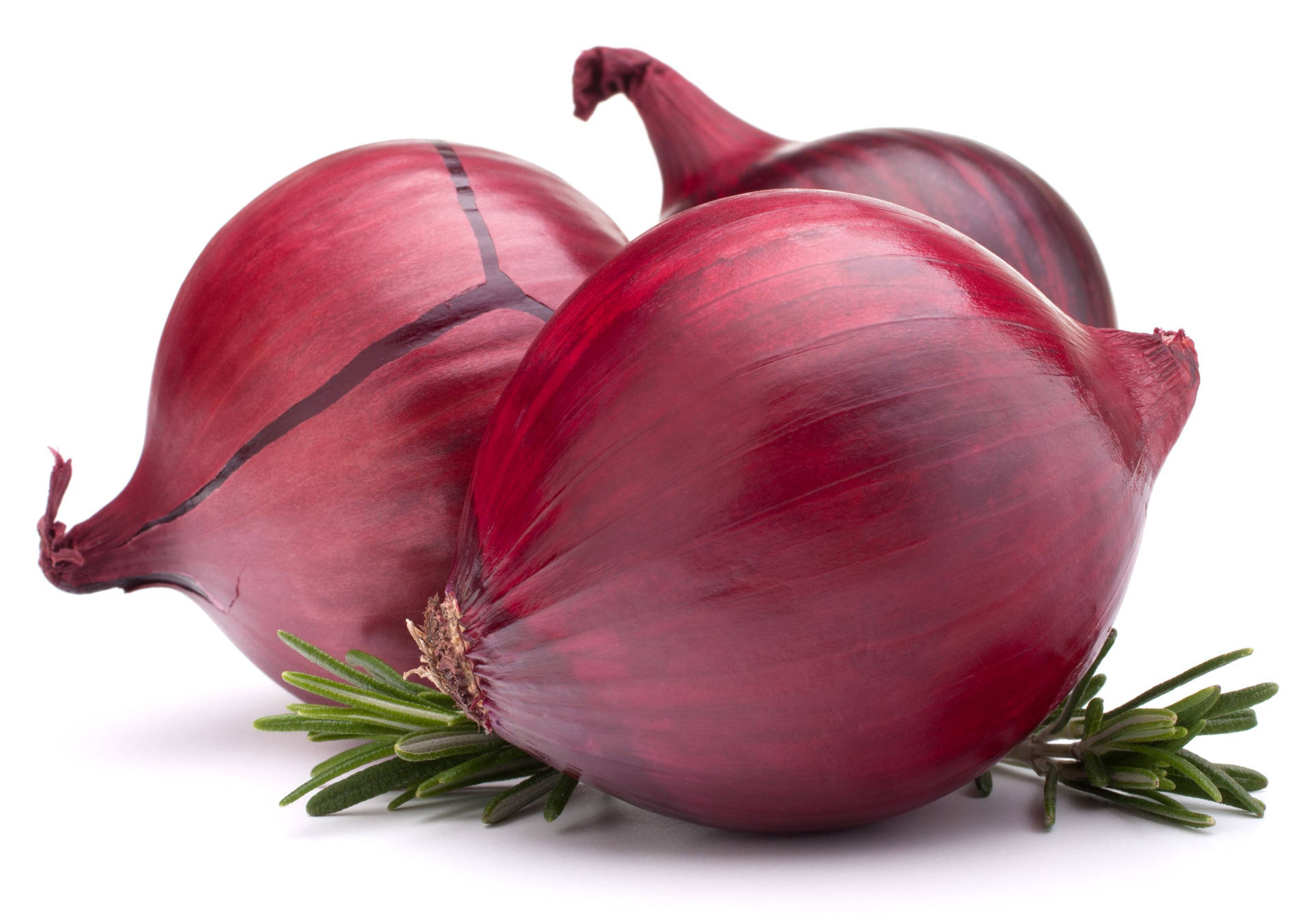 Onion Pictures Wallpaper