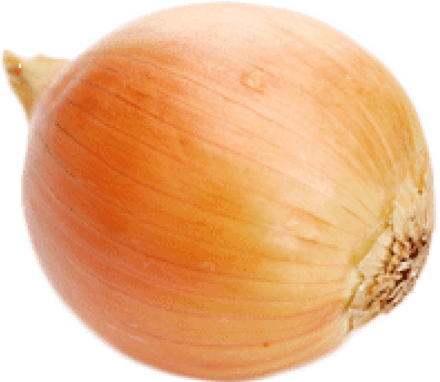 Onion Png