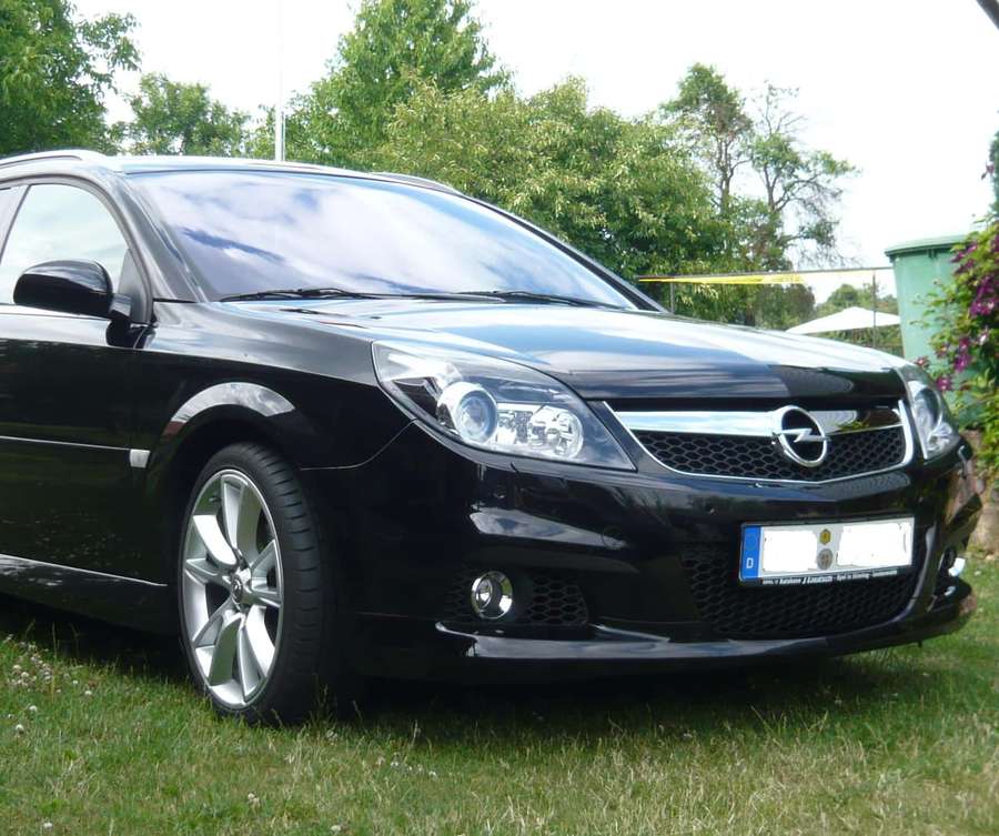 Black Opel Vectra parked on grass with greenery and flowers nearby. — Opel Vectra Wallpaper