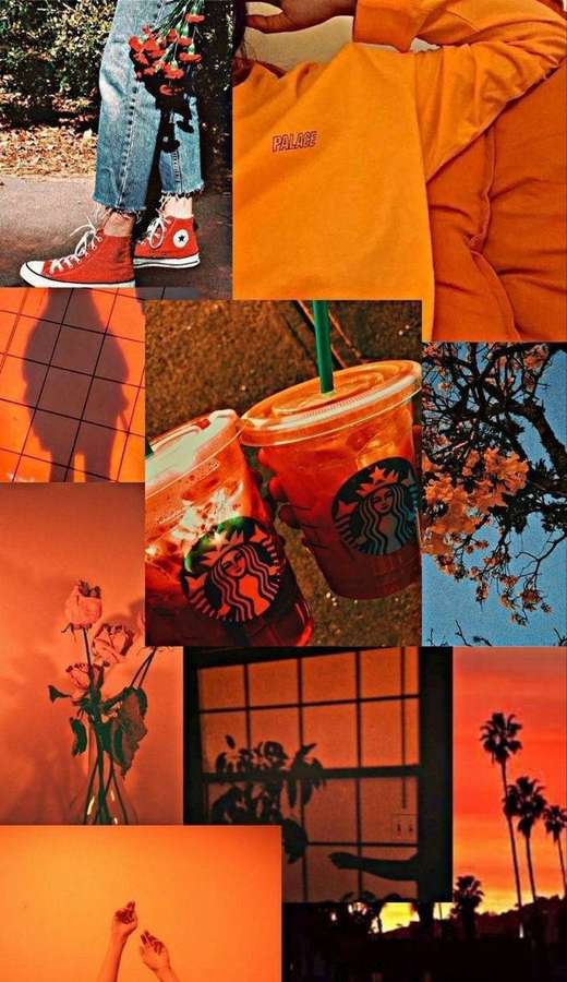 Eine Collage aus warm getönten Stadt- und Naturszenen mit Sneakern, Kaffeegetränken und Palmen. — Orange Mit Blumenmuster Bild Wallpaper