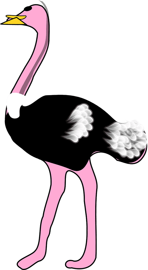 Ostrich Png