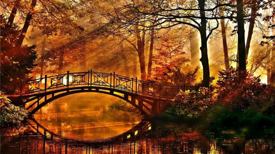 Un puente de madera sobre un estanque tranquilo en un bosque otoñal dorado con niebla. — Otoño perfecto Fondos de pantalla