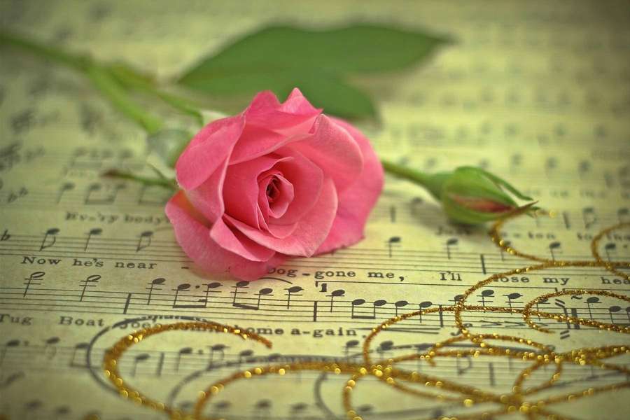 Rosa rosa em partitura com redemoinhos dourados cintilantes — Ouro rosa Fundo Papéis de Parede