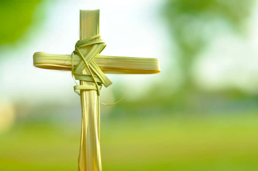 Palm Sunday Pictures Wallpaper