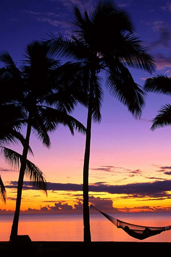 Palm Tree Beach Wallpaper