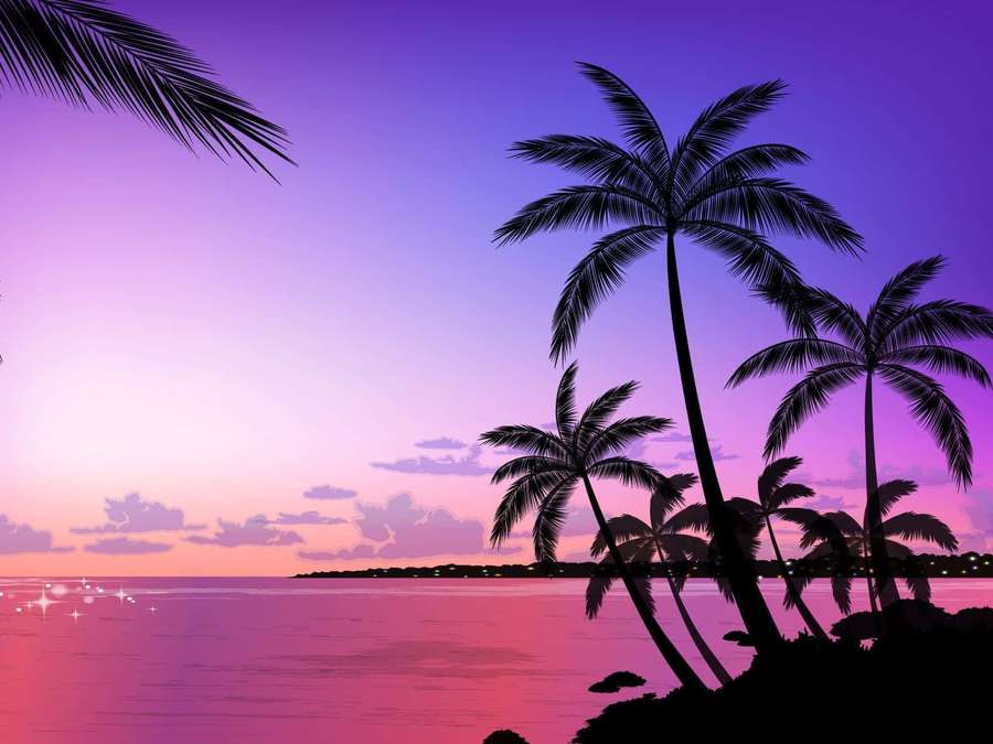 Palm trees silhouetted against a purple pink sunset over the ocean. — Palm Trees Background