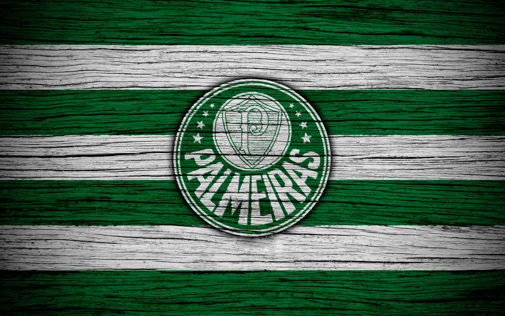 Palmeiras Sfondo