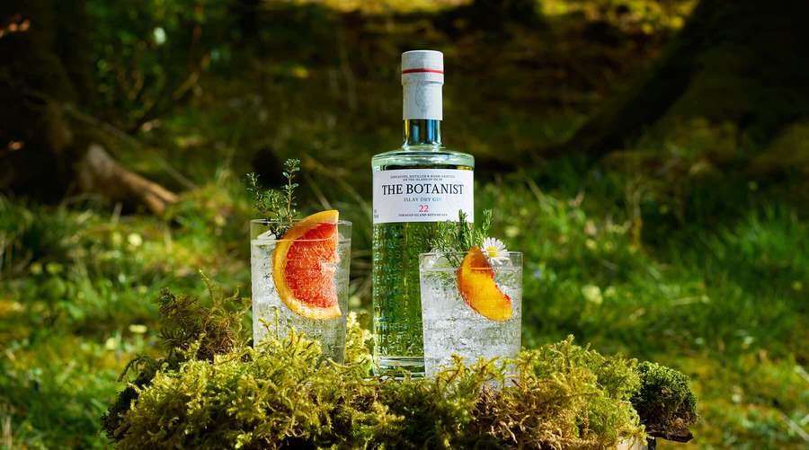 Botanist Gin-Flasche und zwei Cocktails mit Zitrusgarnitur auf moosigem Waldboden. — Pampelmuse Wallpaper