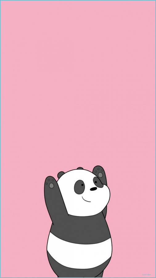 Panda Estético Papel de Parede