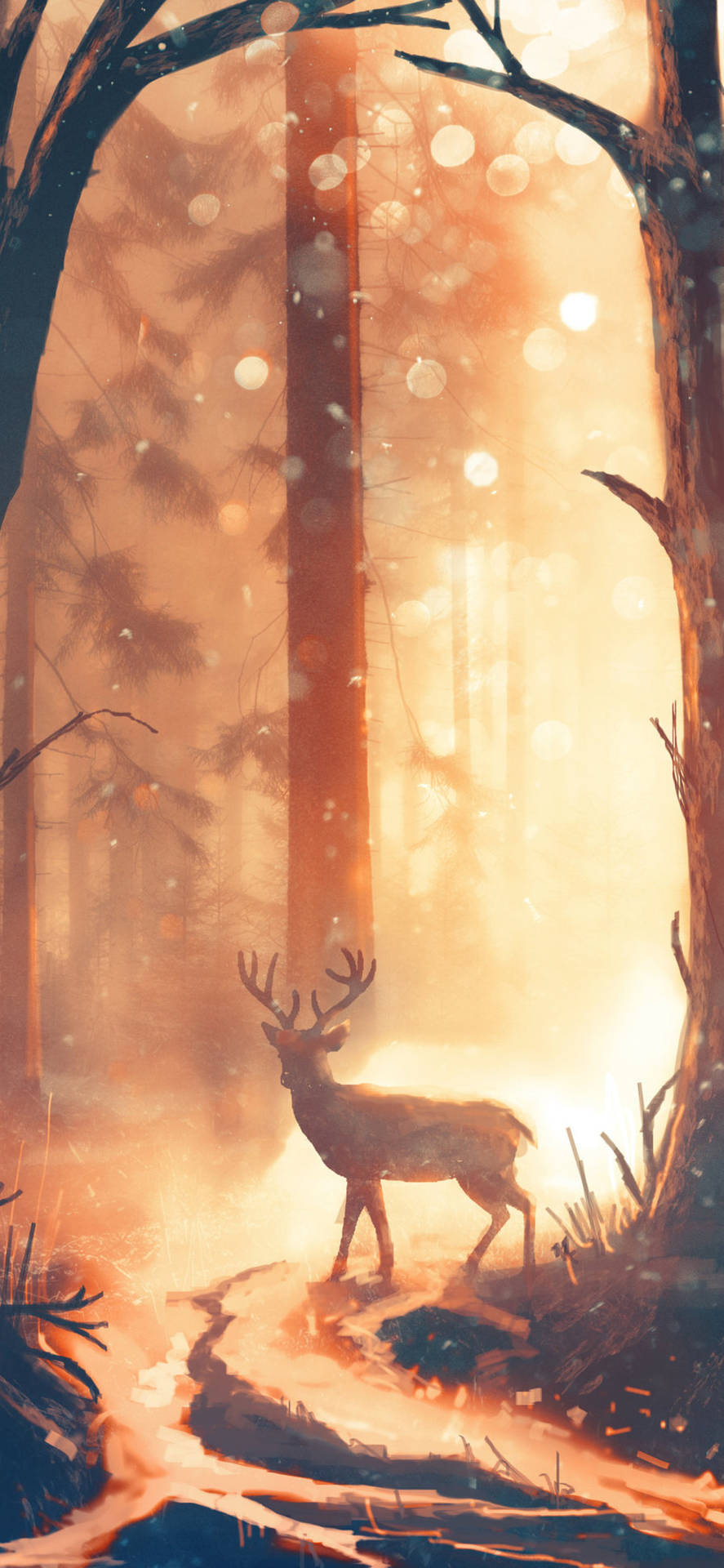 Papel De Parede Para Celular Gratis Deer Iphone