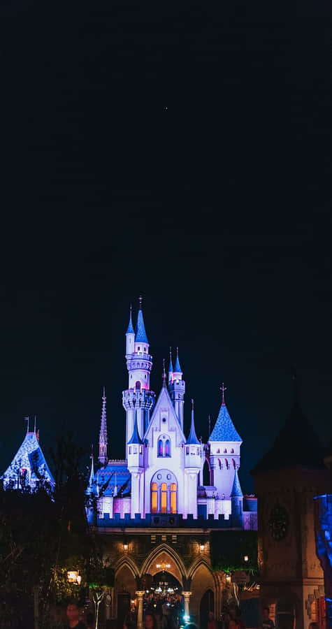Papel De Parede Para Celular Gratis Disneyland Castle