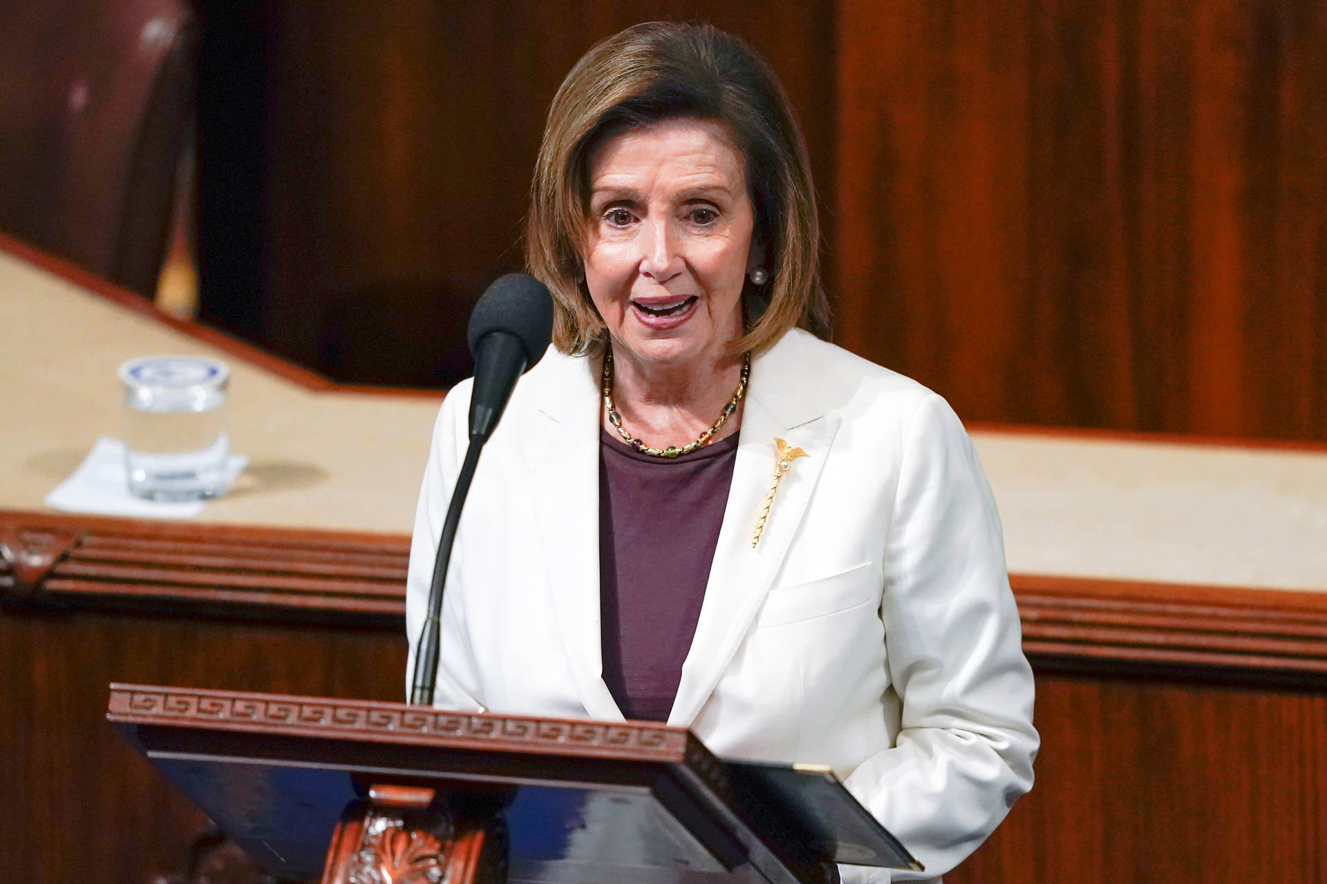 Papel De Parede Para Celular Gratis Nancy Pelosi