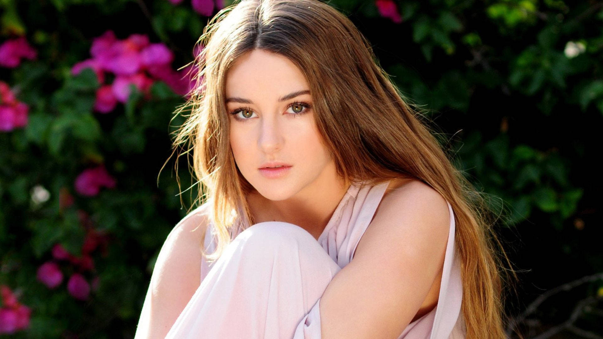 Papel De Parede Para Celular Gratis Shailene Woodley