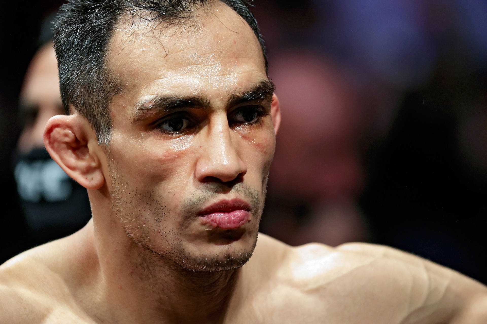 Papel De Parede Para Celular Gratis Tony Ferguson