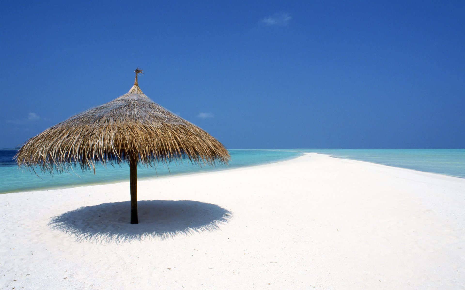 Parasol De Plage Fond d'écran