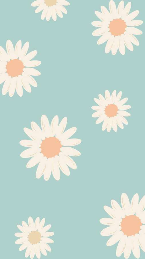 White daisies with peach centers on mint green background — Pastel Teal Background