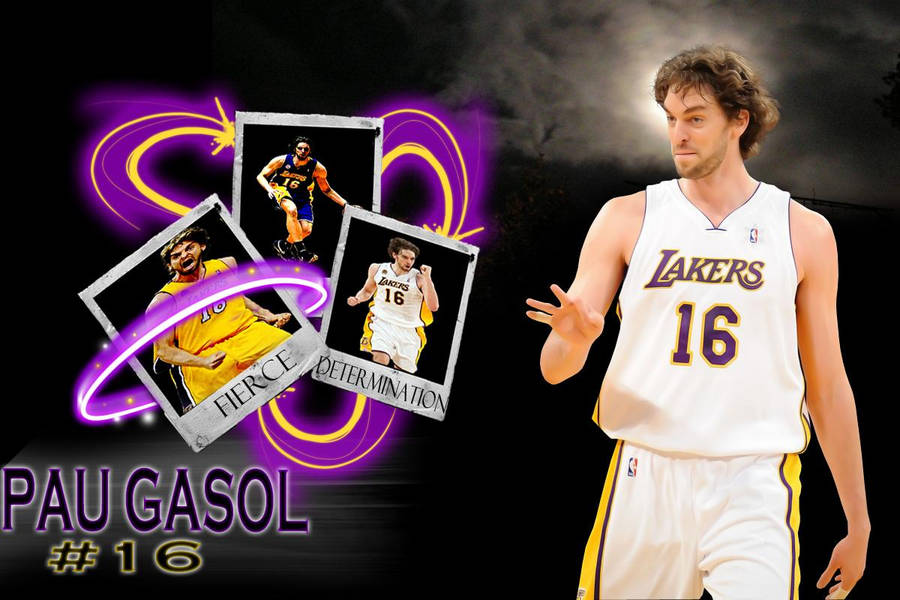 Pau Gasol Achtergrond