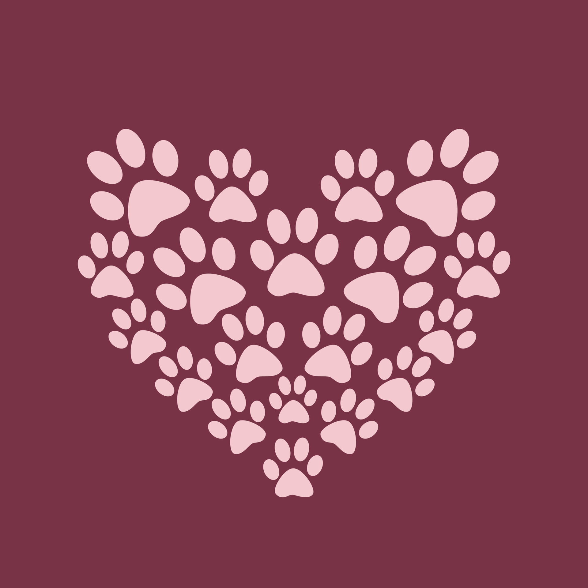 Paw Print Wallpapers