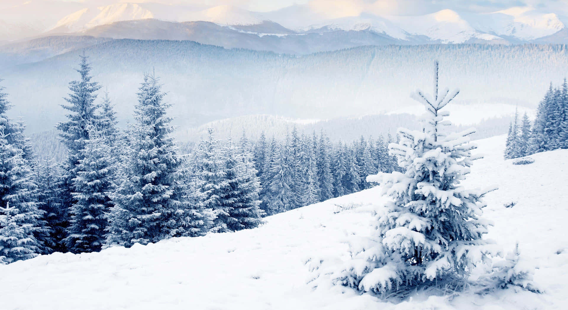 Pays Des Merveilles D'hiver Fond d'écran