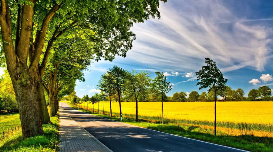 Paysage D'été Fond d'écran