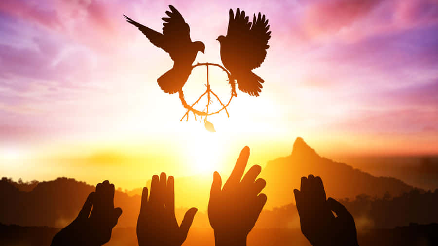 Peace Pictures Wallpaper