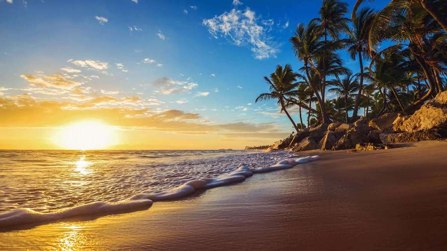 Sunset over tropical beach with palm trees and gentle waves — Peaceful Background