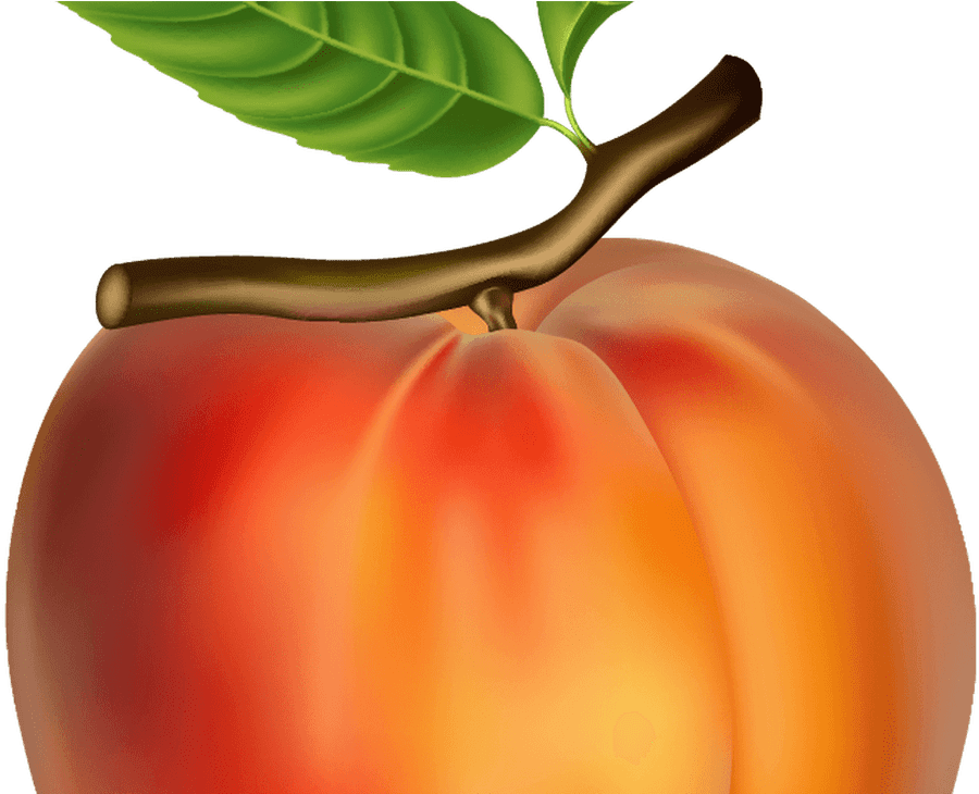 100 Peach Fruit Png Images