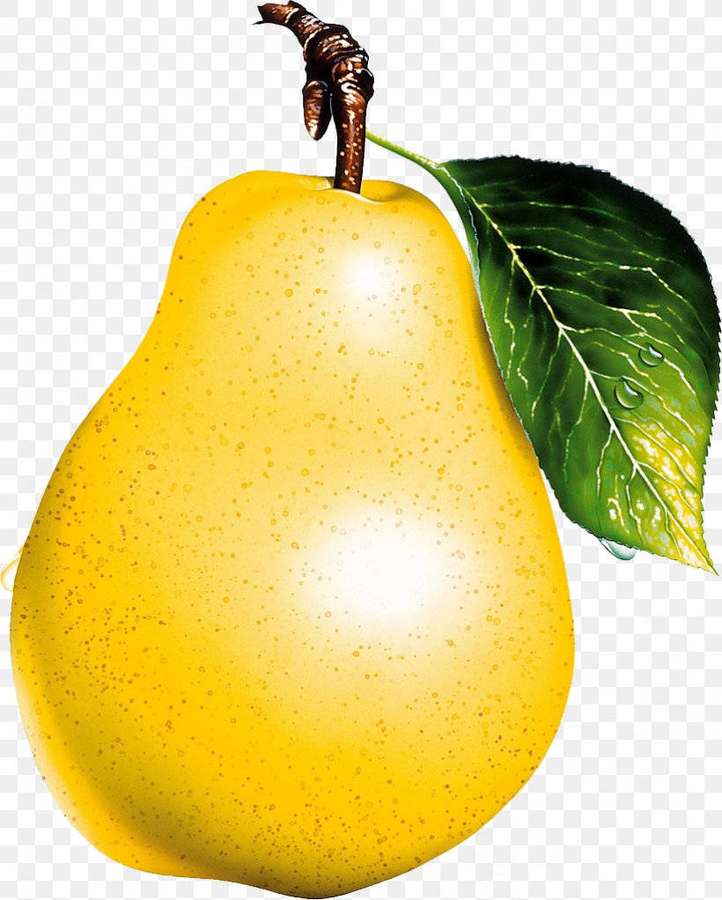 A ripe yellow pear with a green leaf and water droplets. — Pear Wallpaper