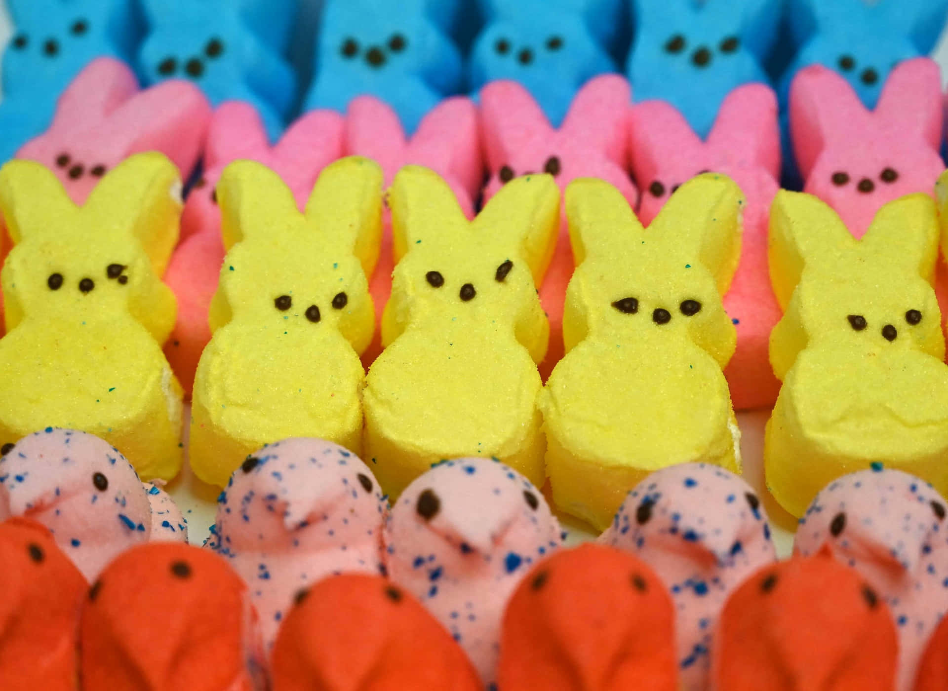 Peeps De Pâques Fond d'écran