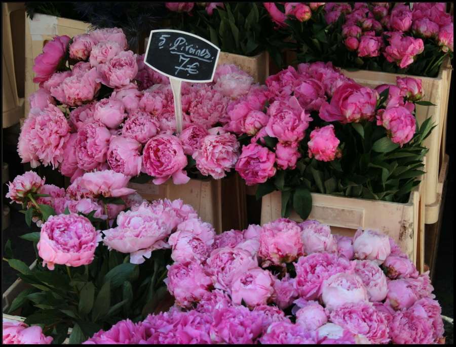 Abundant pink peonies in wooden crates at a flower market stall. — Peony Background