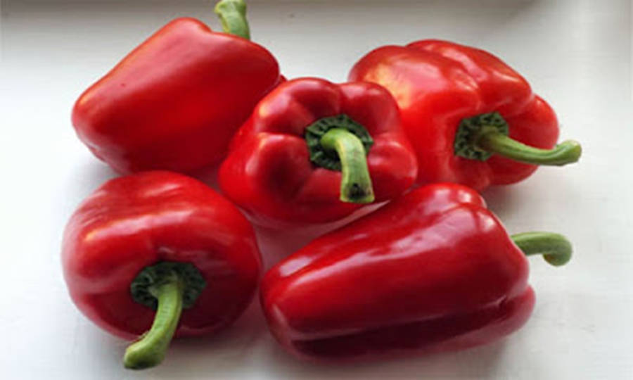 Cinque peperoni rossi maturi con gambi verdi su sfondo bianco. — Peperone Sfondi