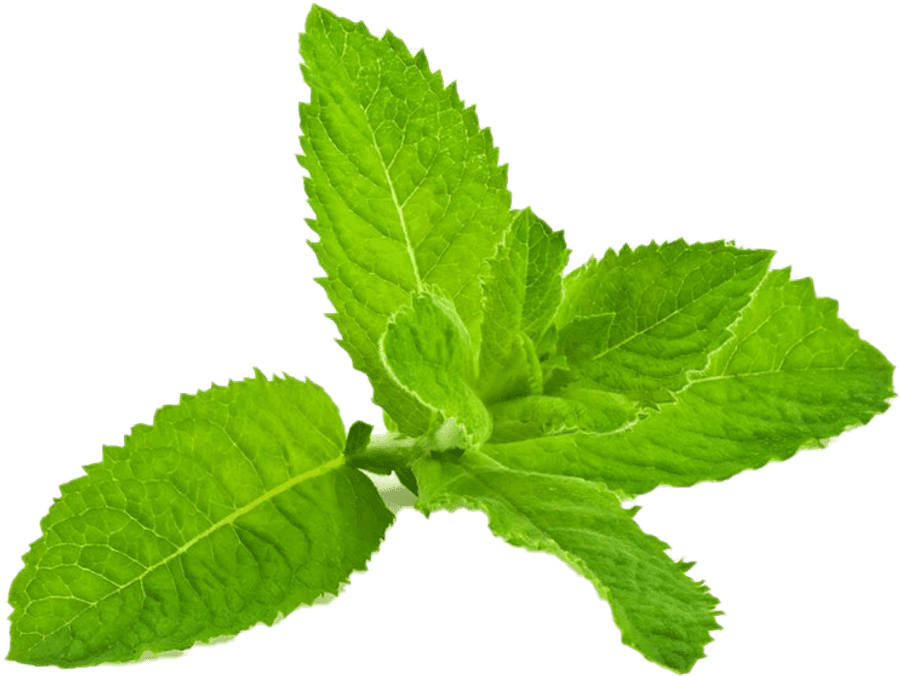 Peppermint Png