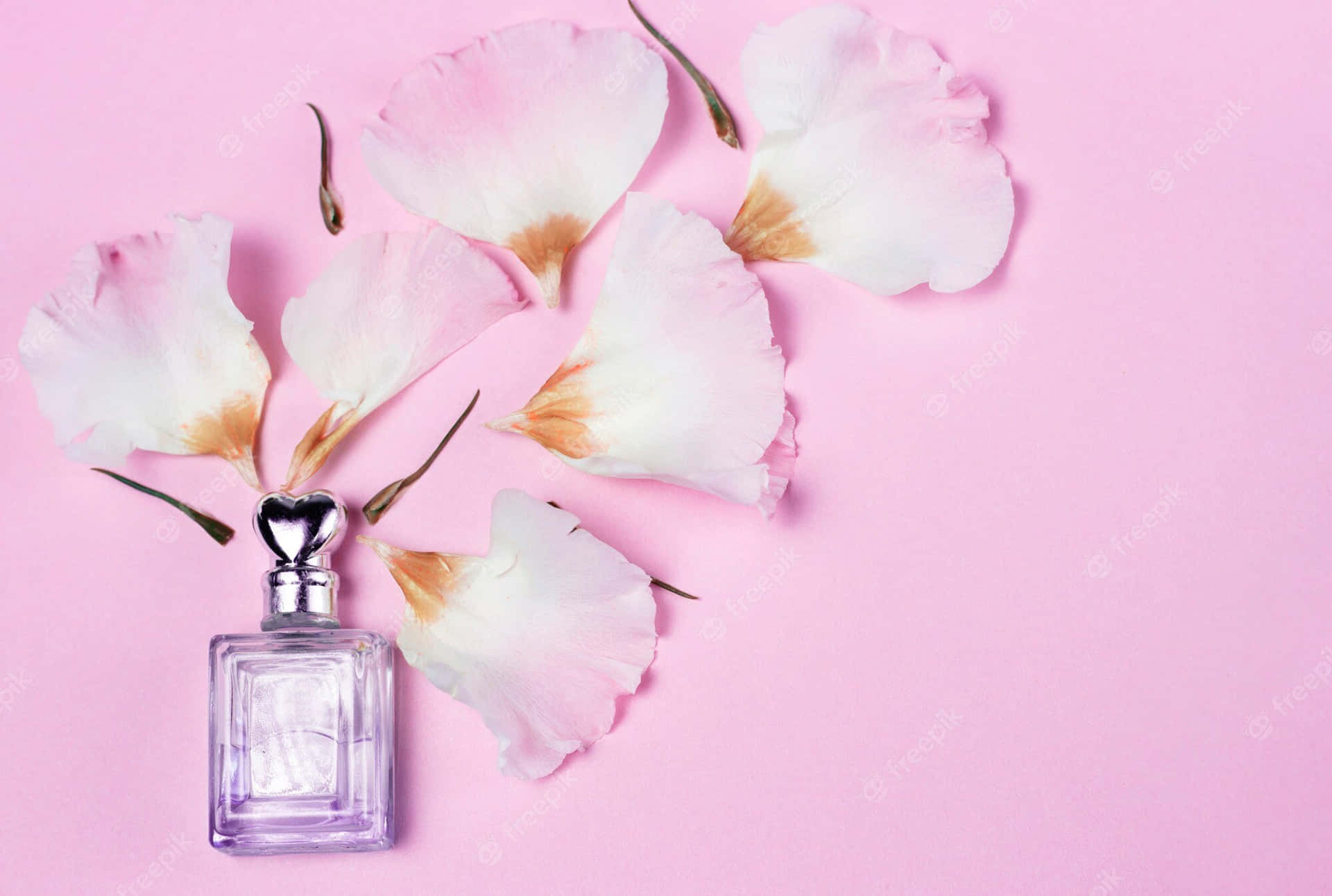 Un frasco de perfume con tapa en forma de corazón y pétalos de flores esparcidos sobre fondo rosa. — Perfume de Primavera Fondos de pantalla