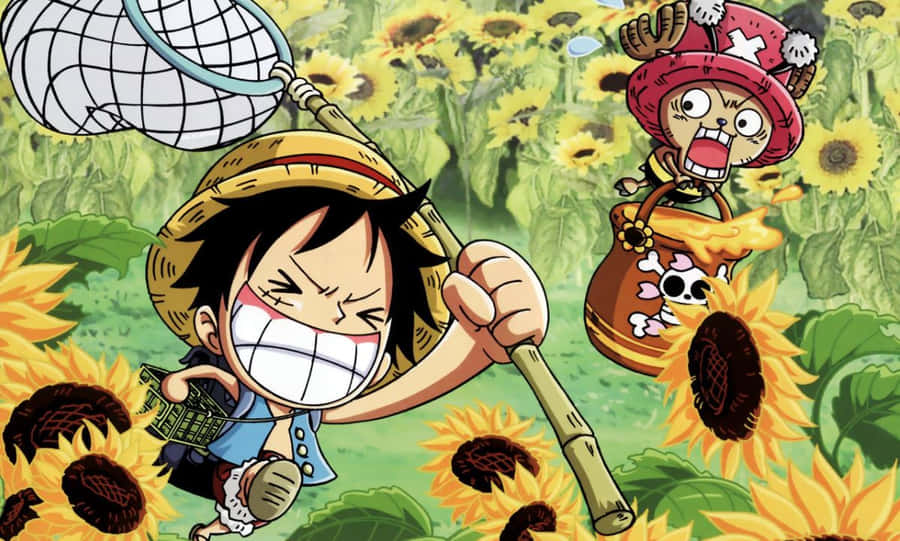 Personnages One Piece Fond d'écran