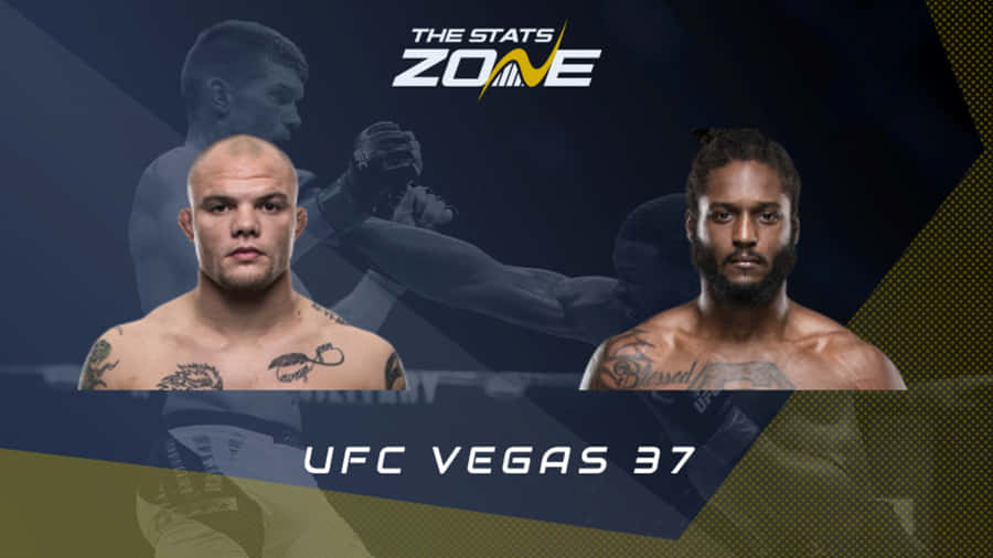 Pertarungan Wallpaper