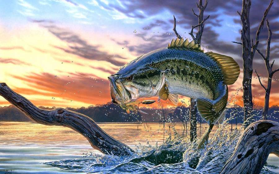 Um grande robalo salta de um lago ao pôr do sol perto de árvores nuas. — Pesca Papéis de Parede