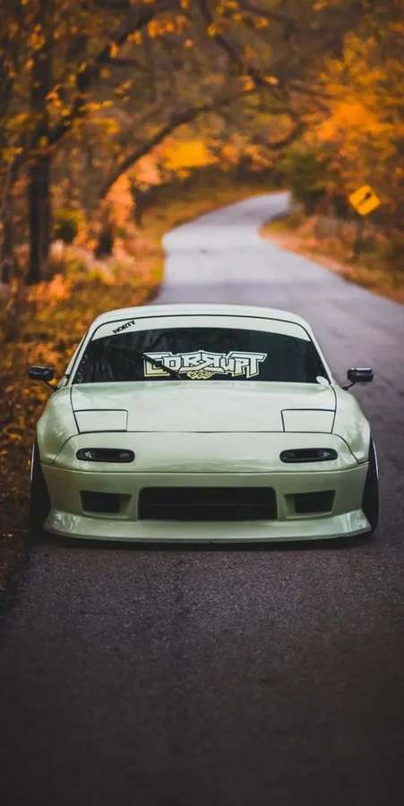 Coche de derrape blanco en carretera de bosque otoñal con hojas doradas — Pfp Jdm Fondos de pantalla