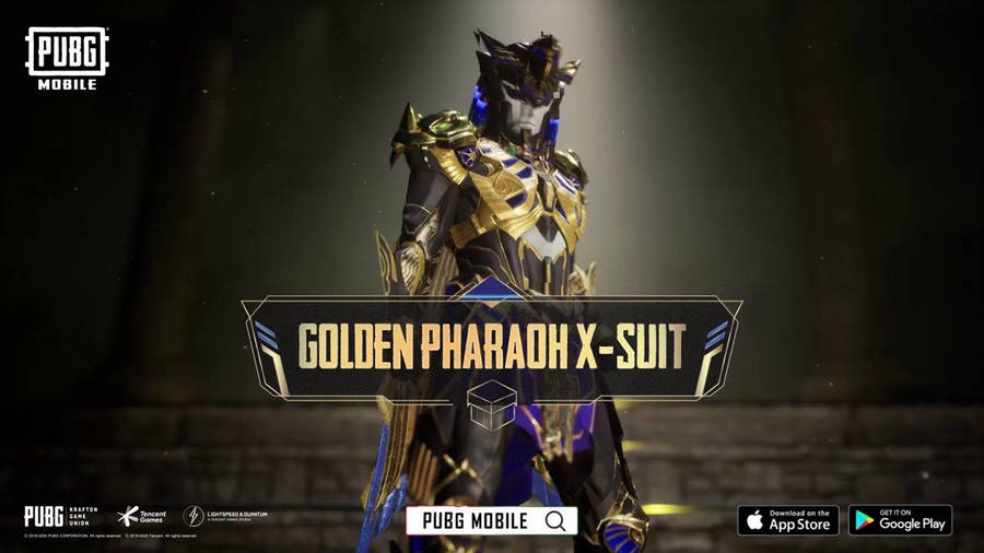 PUBG Mobile Gold Warrior, HD wallpaper | Peakpx